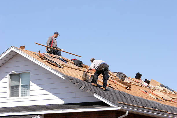 Best Storm Damage Roof Repair  in Makawao, HI